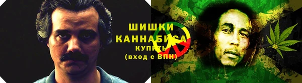 бутират Елабуга