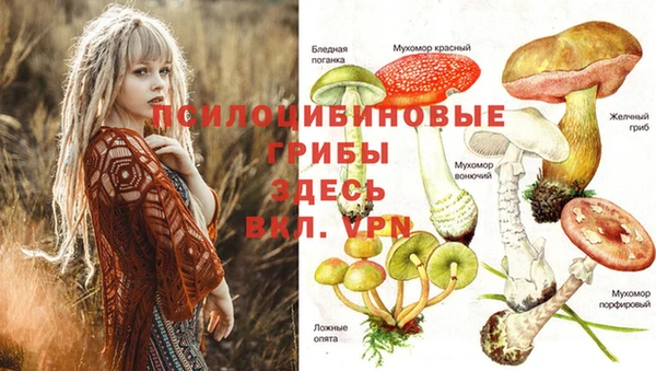 скорость Ельня