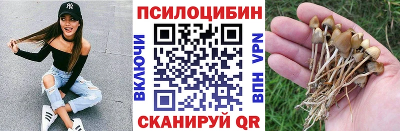 Купить закладки  Петровск  Псилоцибиновые грибы Magic Shrooms 